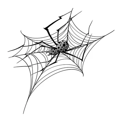 Aranha na teia