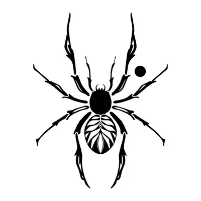 Aranha