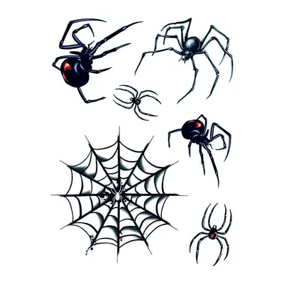 Aranhas e teia