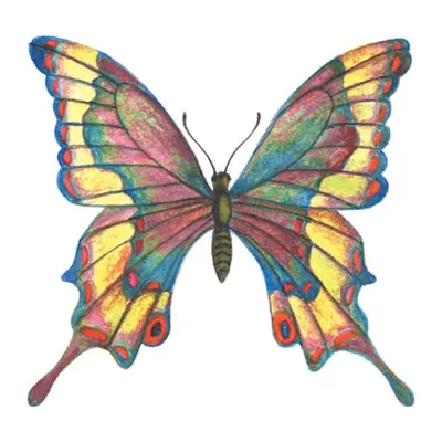 Borboleta de vitral