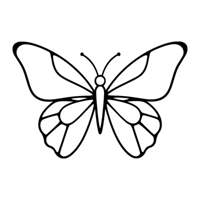 Borboleta delicada em contorno