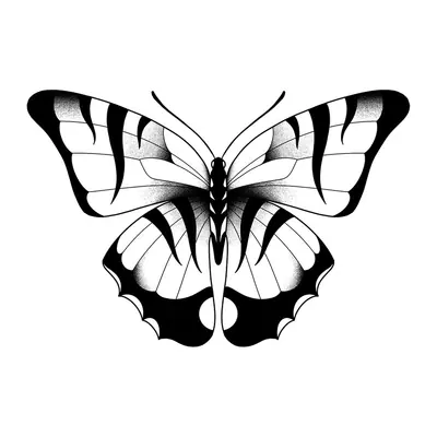 Borboleta listrada realista