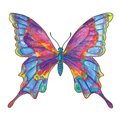 Borboleta multicolorida