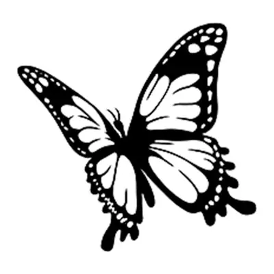 Borboleta pequena realista