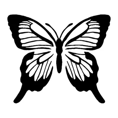 Borboleta preta e branca listrada