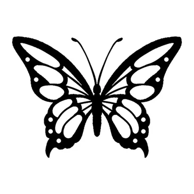 Borboleta preta e branca