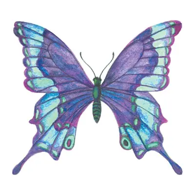 Borboleta roxa e azul