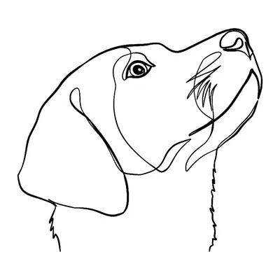 Cachorros