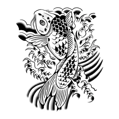 Carpa koi com ondas