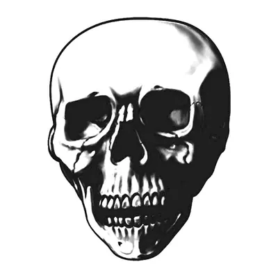 Caveira realista — Modelo 2
