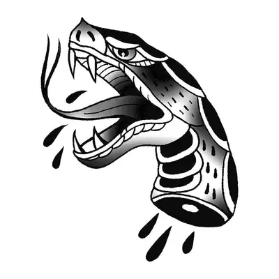 Cobra atacando