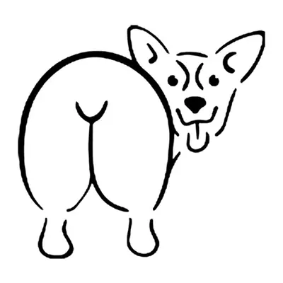 Corgi de costas