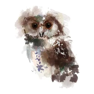 Coruja em aquarela