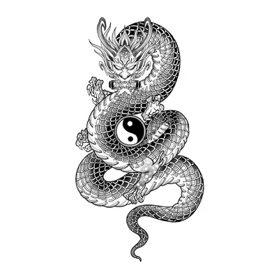 Dragão com yin yang