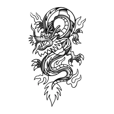 Dragão oriental — Modelo 2