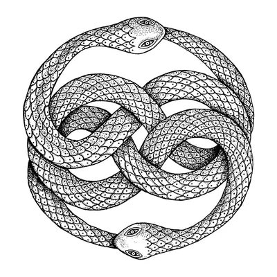 Duas cobras entrelaçadas