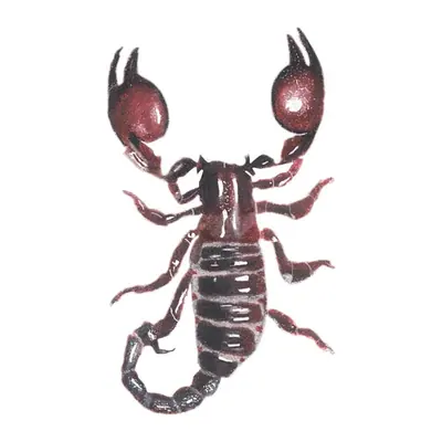 Escorpião do deserto