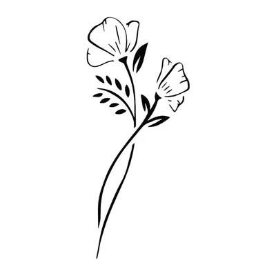 Flor com haste fina
