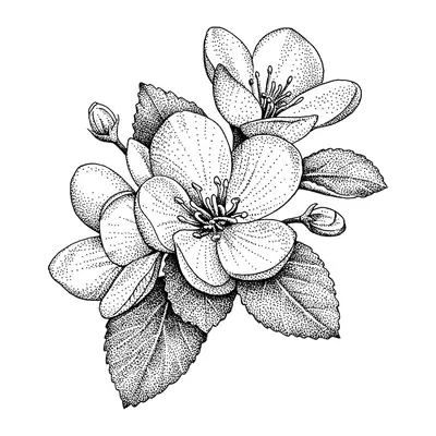Flores de cerejeira realistas