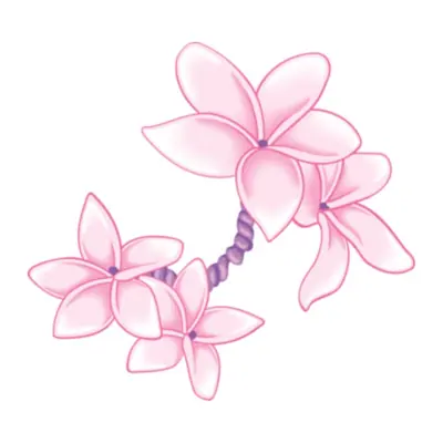 Flores de plumeria rosa