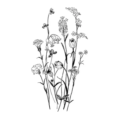 Flores do campo
