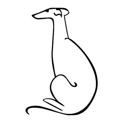 Galgo em linha