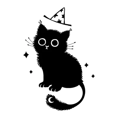 Gato bruxo preto