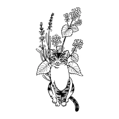 Gato com flores