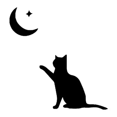 Gato olhando a lua