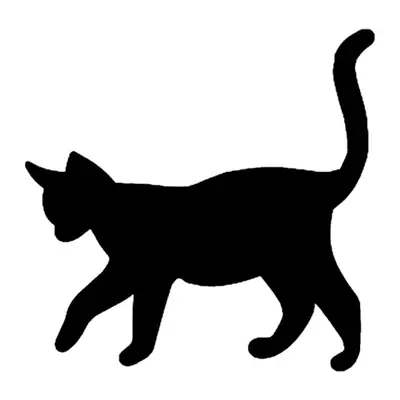 Gato preto caminhando