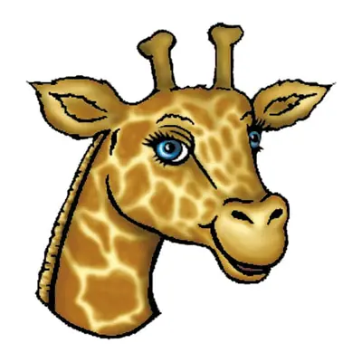 Girafa — cabeça — Modelo 2