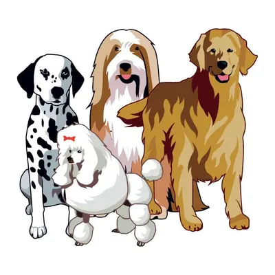 Grupo de cachorros