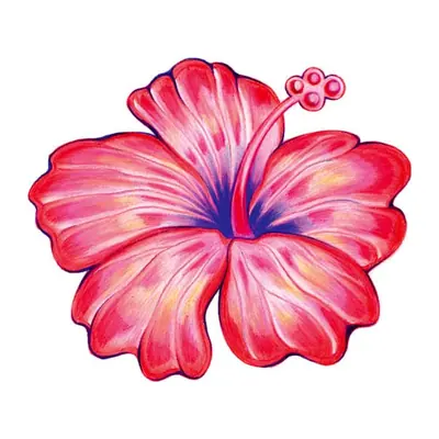 Hibisco rosa