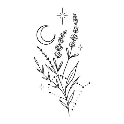 Lavanda com lua e estrelas