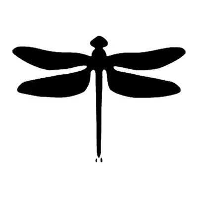 Libélula em silhueta