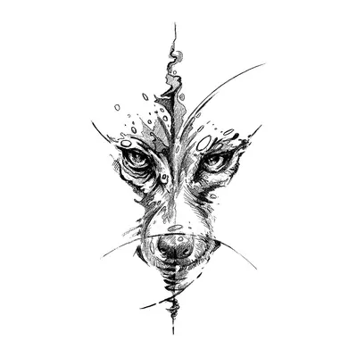 Lobo abstrato