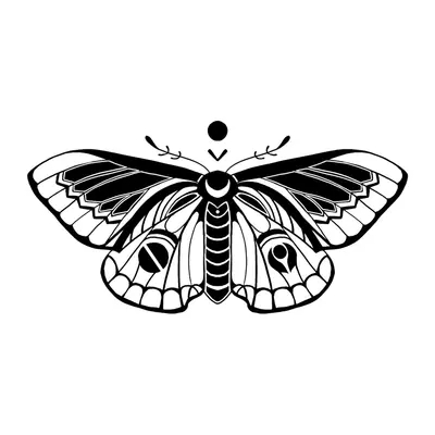 Mariposa ornamental