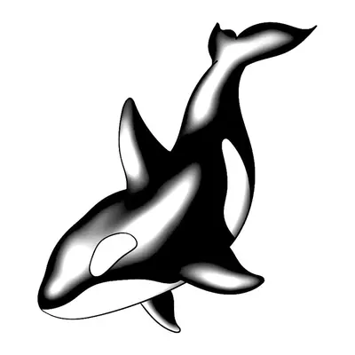 Orca realista