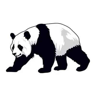 Panda — Modelo 2