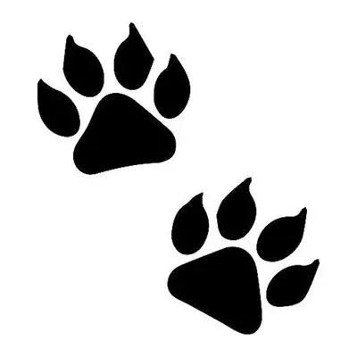 Patas de animal