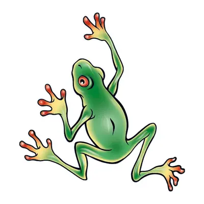 Perereca verde