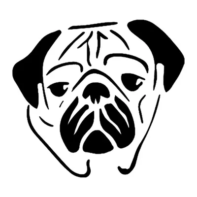 Pug