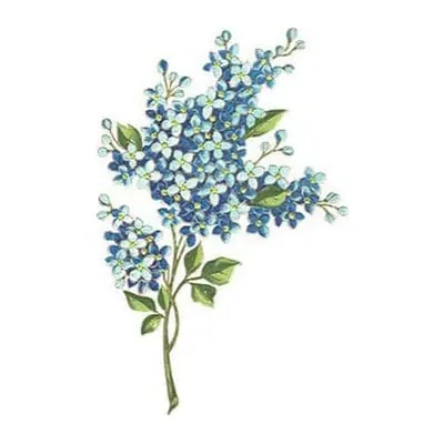 Ramo de flores azuis — Modelo 1