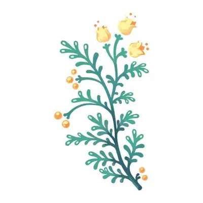Ramo verde com flores amarelas