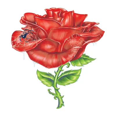 Rosa com aranha
