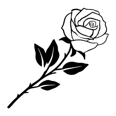 Rosa com haste e folhas