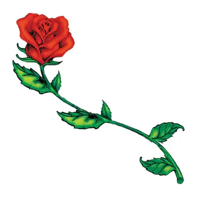 Rosa de haste longa