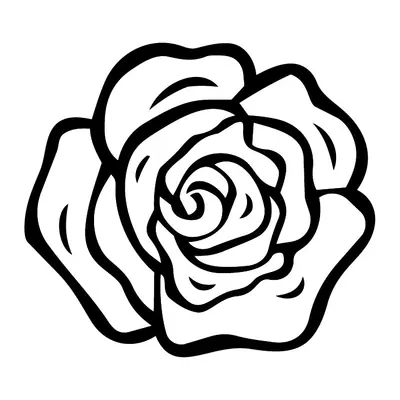 Rosa em contorno grosso