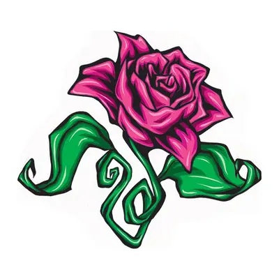 Rosa roxa