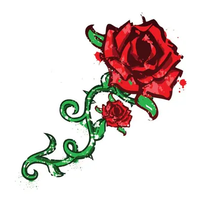 Rosa vermelha com espinhos
